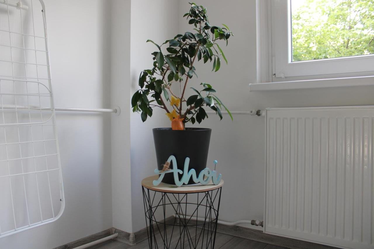 Apartmán Izzy Apartament Miškovec Exteriér fotografie